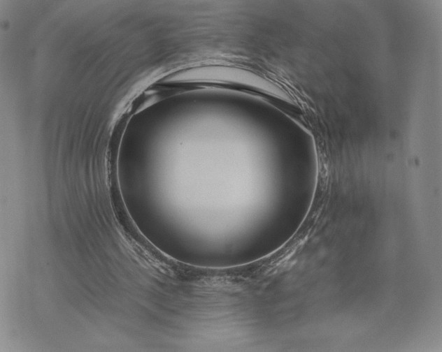 X0000075360244200609251109