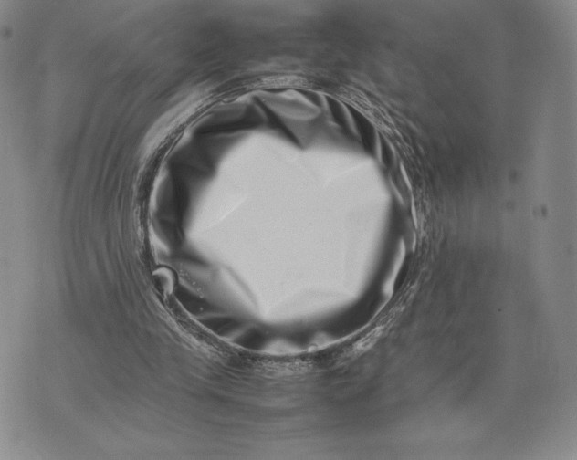 X0000075360245200609251109