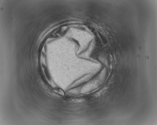 X0000075360247200609251109