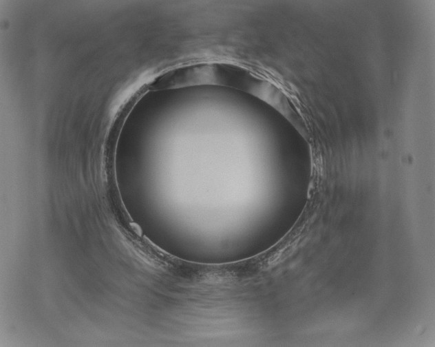 X0000075360248200609251109