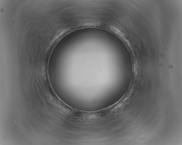 X0000075360249200609251109