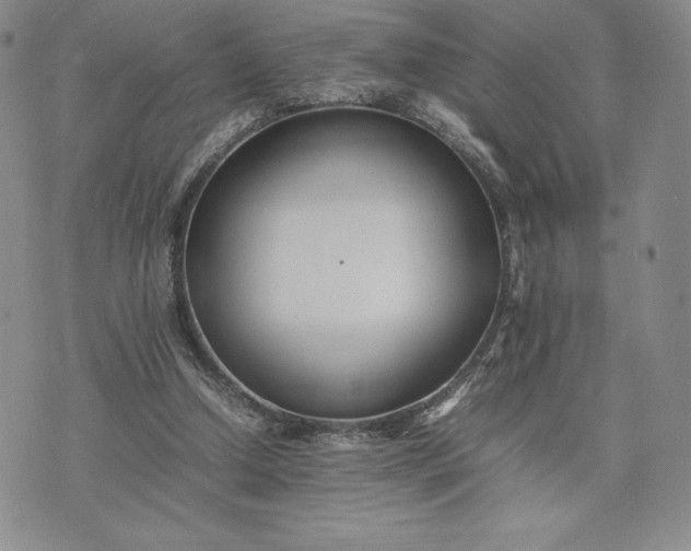 X0000075360250200609251109