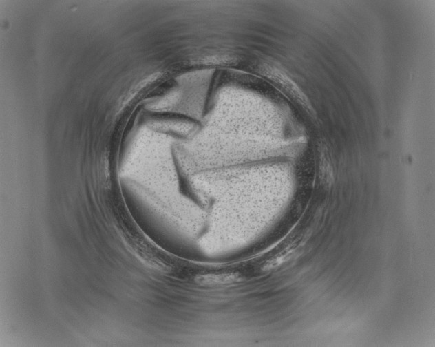 X0000075360251200609251109