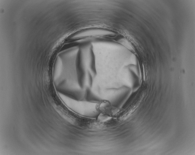 X0000075360252200609251109