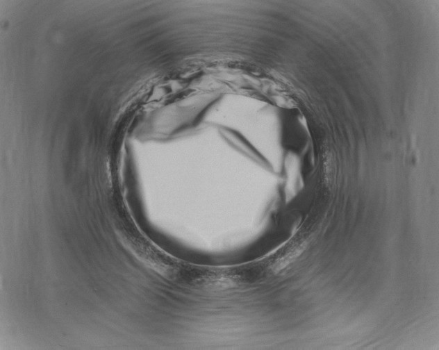 X0000075360254200609251109