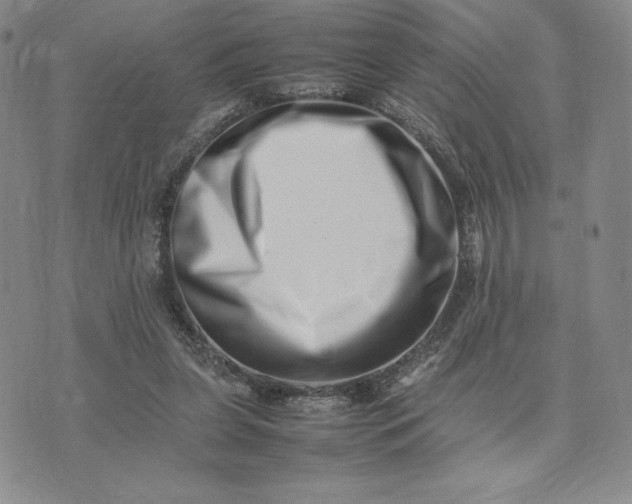 X0000075360255200609251109