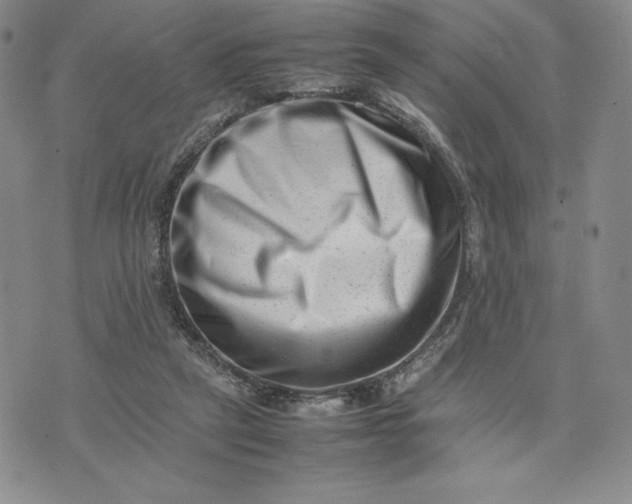 X0000075360257200609251109