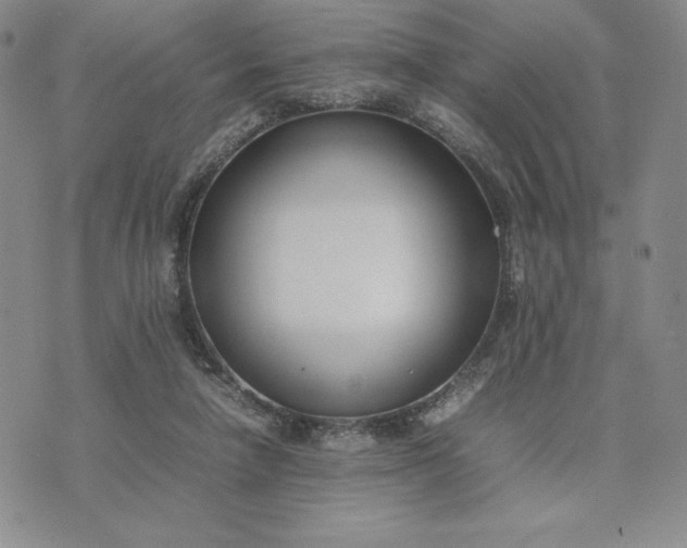 X0000075360258200609251109