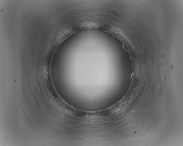 X0000075360259200609251109