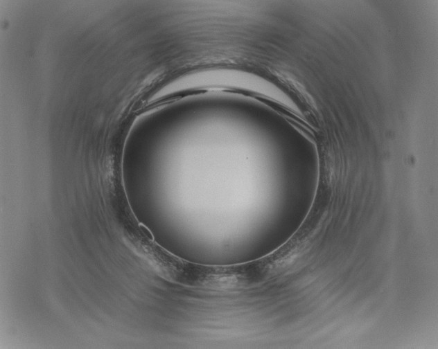 X0000075360260200609251109