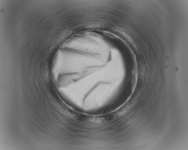 X0000075360261200609251109