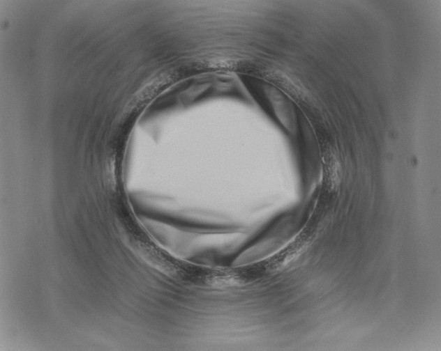 X0000075360262200609251109