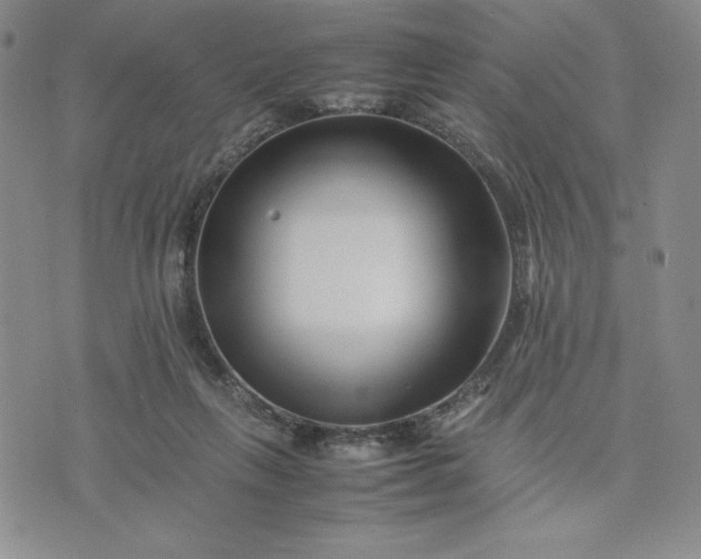 X0000075360263200609251109