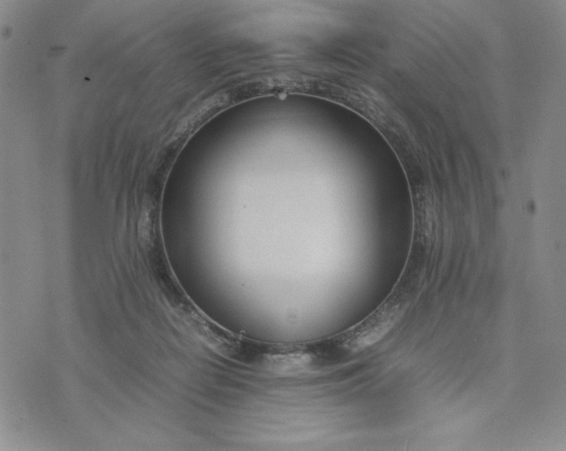 X0000075360266200609251109