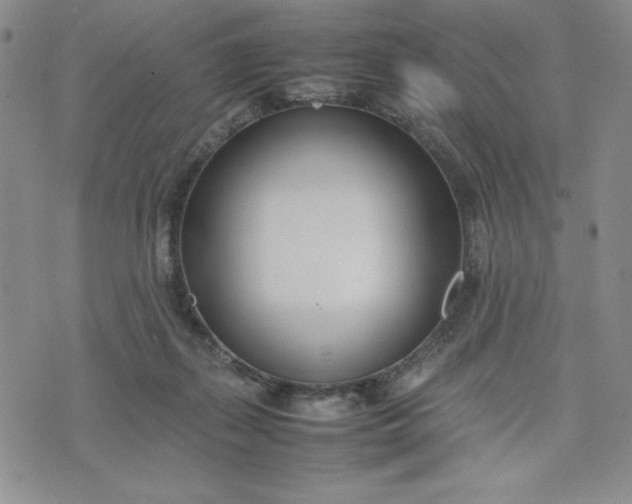 X0000075360267200609251109