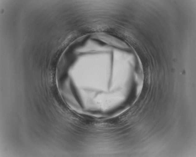 X0000075360268200609251109