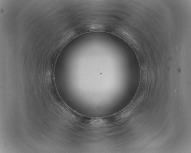 X0000075360269200609251109