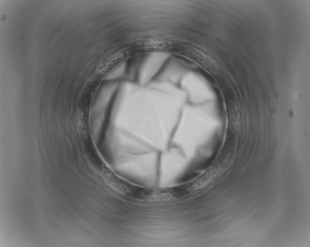 X0000075360270200609251109