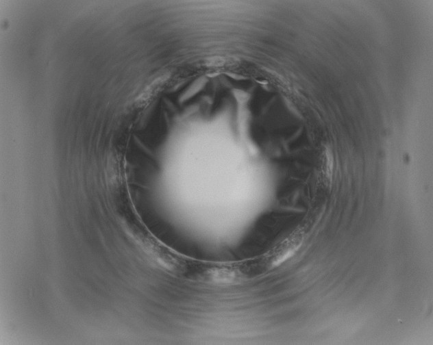 X0000075360272200609251109