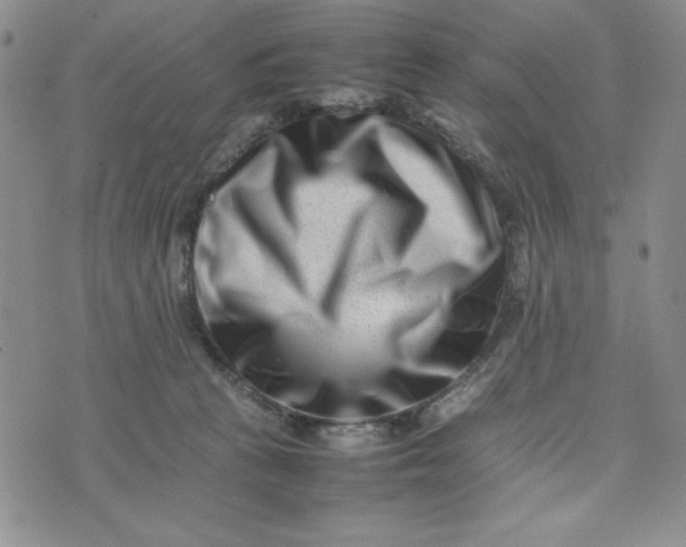 X0000075360273200609251109