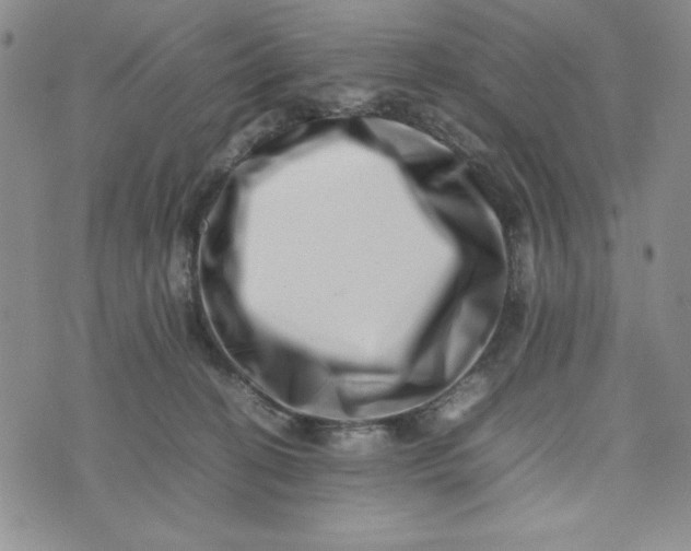 X0000075360274200609251109