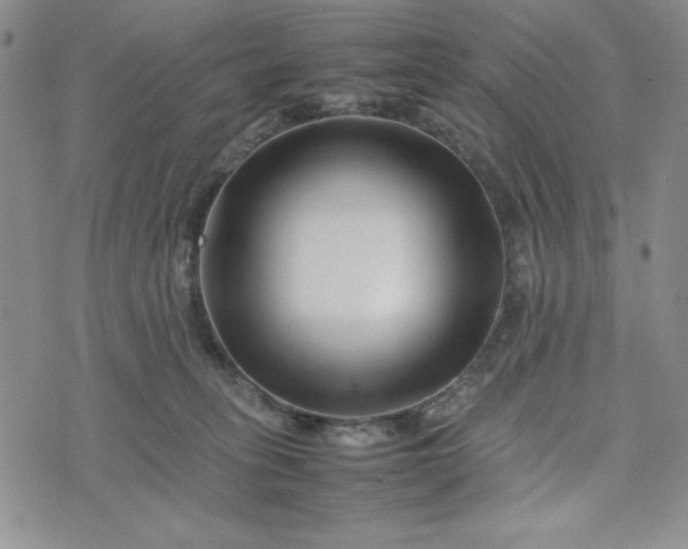 X0000075360275200609251109