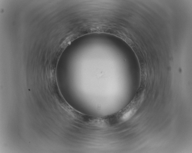 X0000075360276200609251109