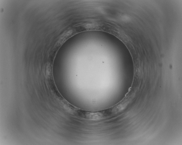 X0000075360277200609251109