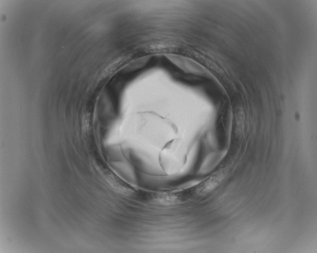 X0000075360278200609251109