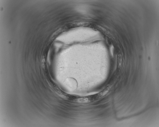 X0000075360279200609251109