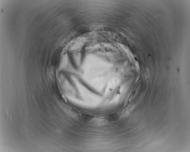 X0000075360280200609251109