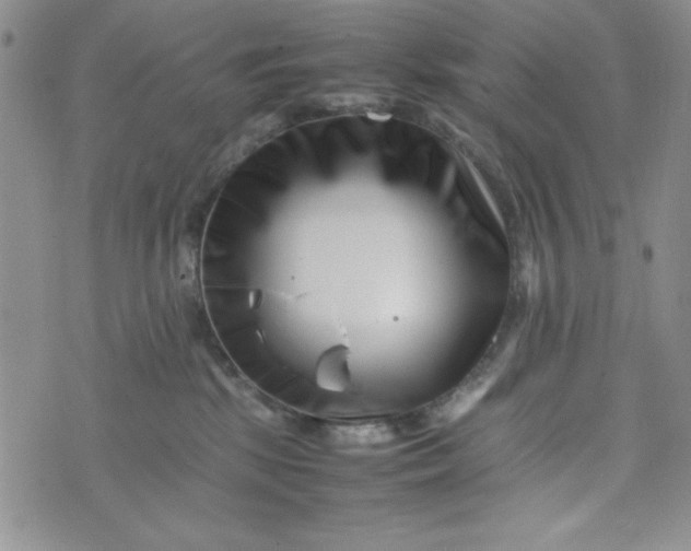 X0000075360281200609251109