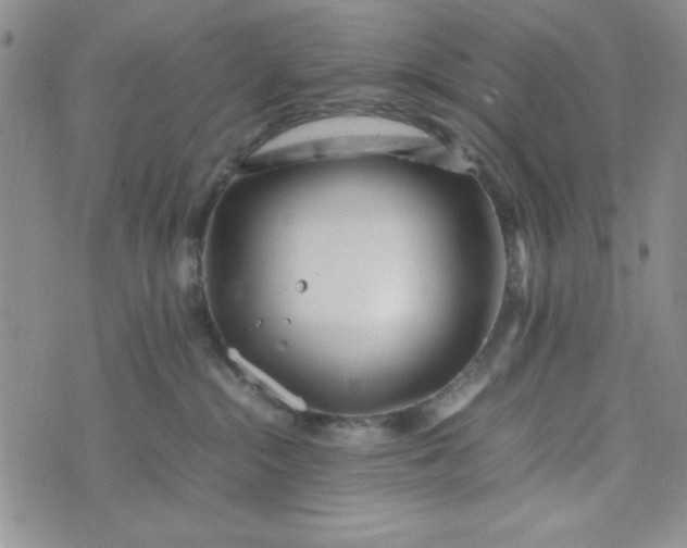 X0000075360284200609251109