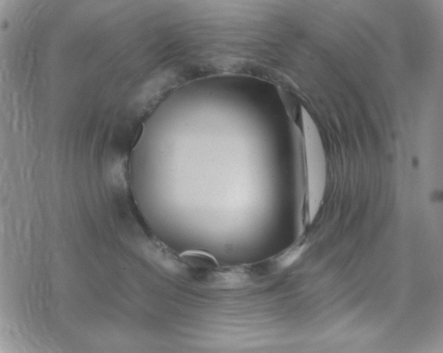 X0000075360286200609251109