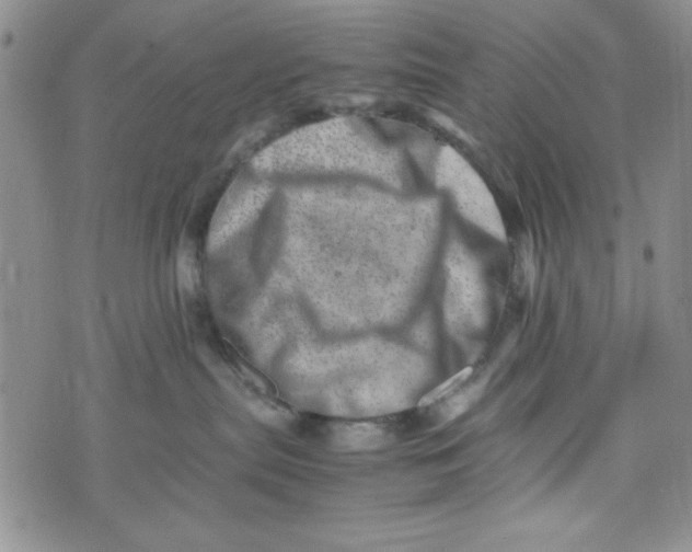 X0000075360287200609251110