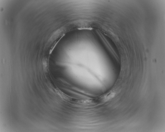 X0000075360288200609251110