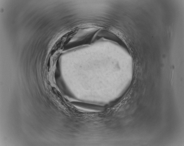 X0000075360289200609251109