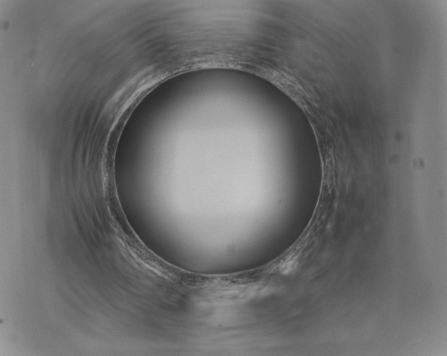 X0000075360290200609251109