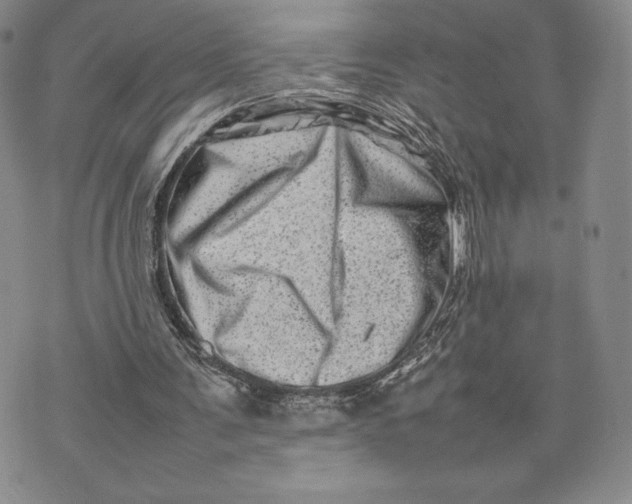 X0000075360291200609251109