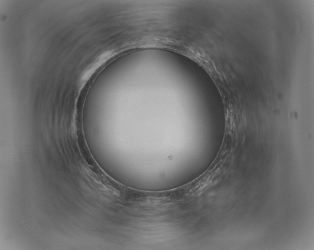 X0000075360292200609251109