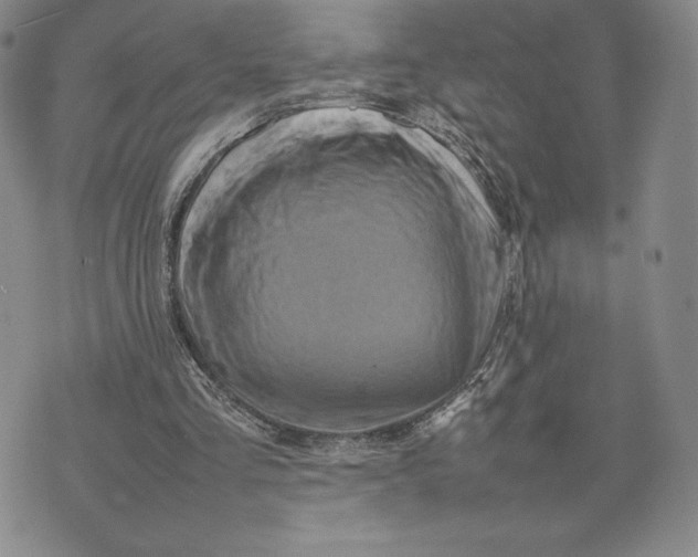 X0000075360293200609251109