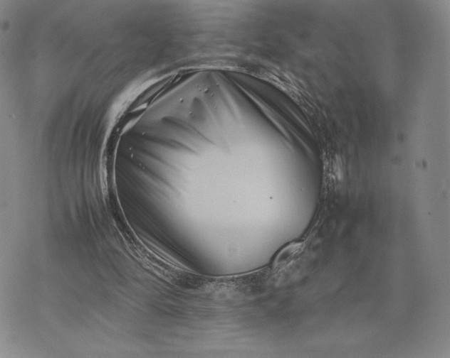 X0000075360294200609251109