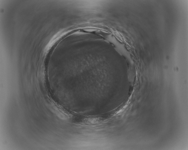 X0000075360295200609251109