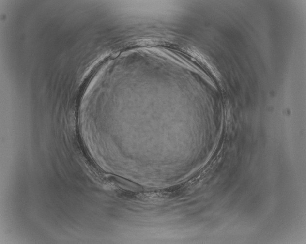 X0000075360297200609251109