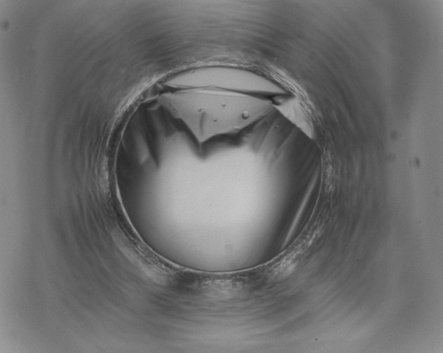 X0000075360298200609251109