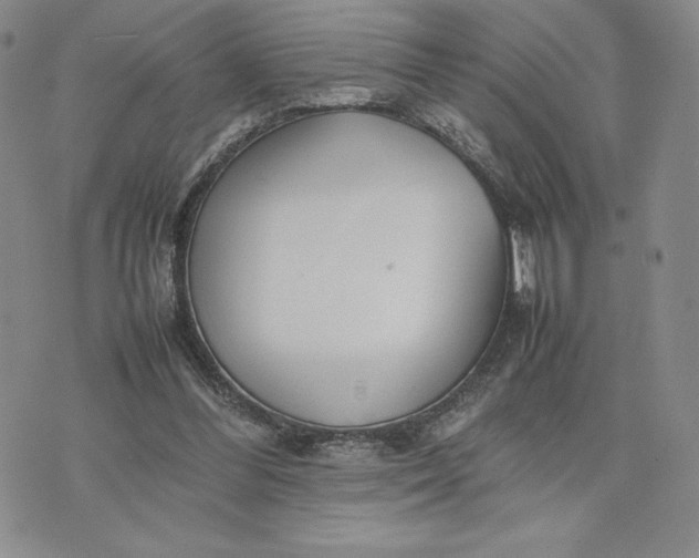 X0000075360300200609251109