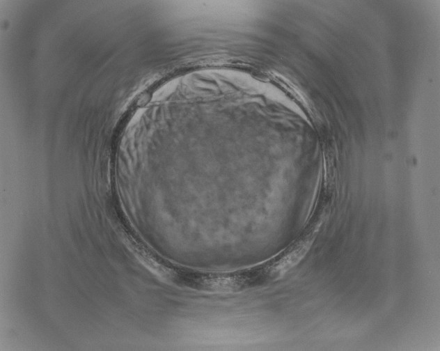 X0000075360301200609251109