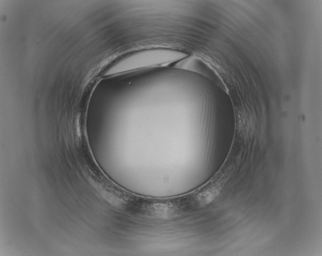 X0000075360302200609251109