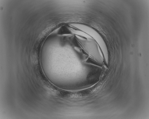 X0000075360303200609251109