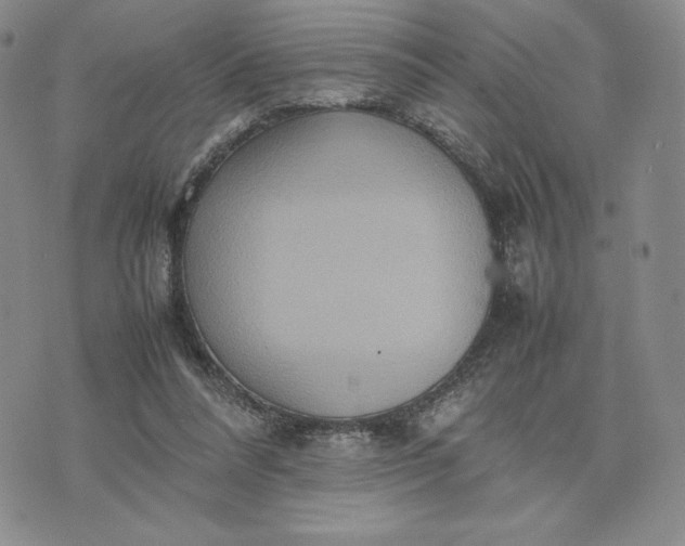 X0000075360304200609251109